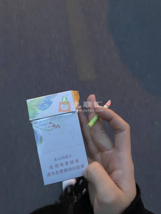 泰山(茉莉香韵)相册 93954_11521