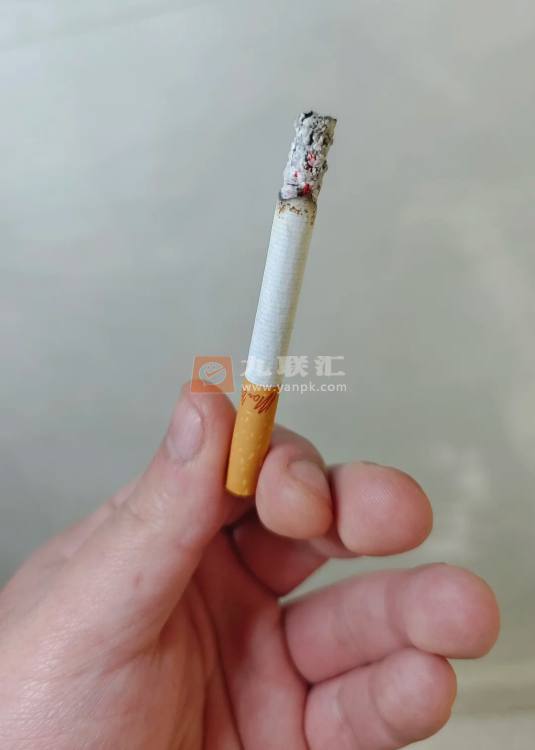 万宝路(南刻肯塔基州加税版)相册 95200_90584