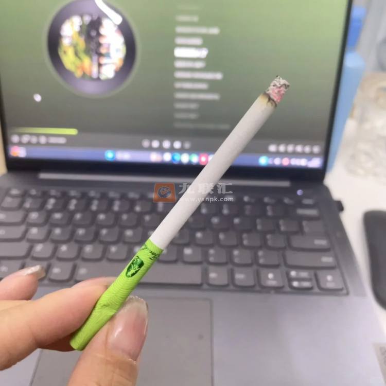 泰山(茶香)相册 93355_56112