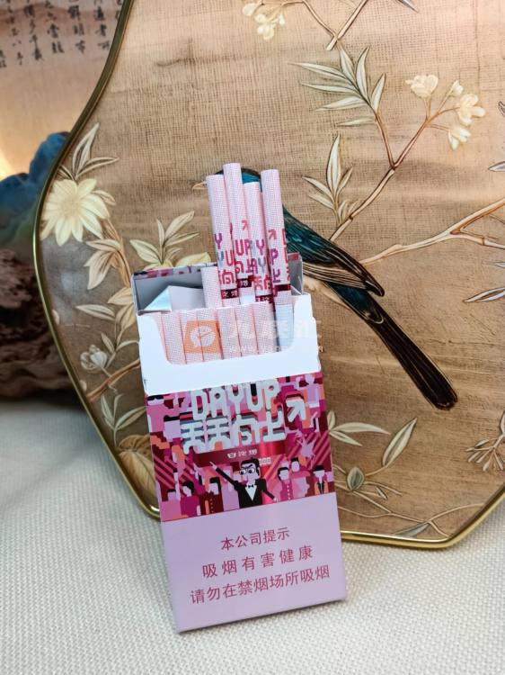 白沙(天天向上新版)相册 115079_47781