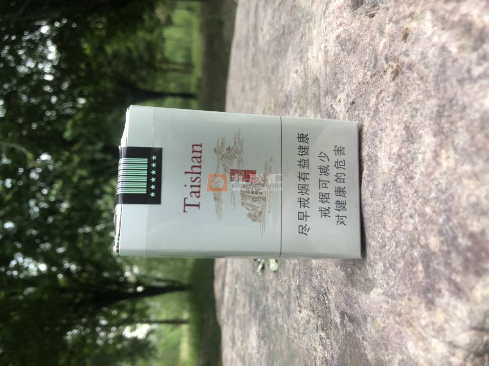 泰山(望岳)相册 1181_91573