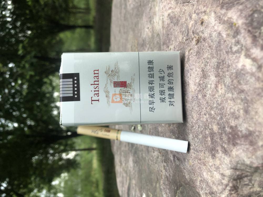 泰山(望岳)相册 1181_87217