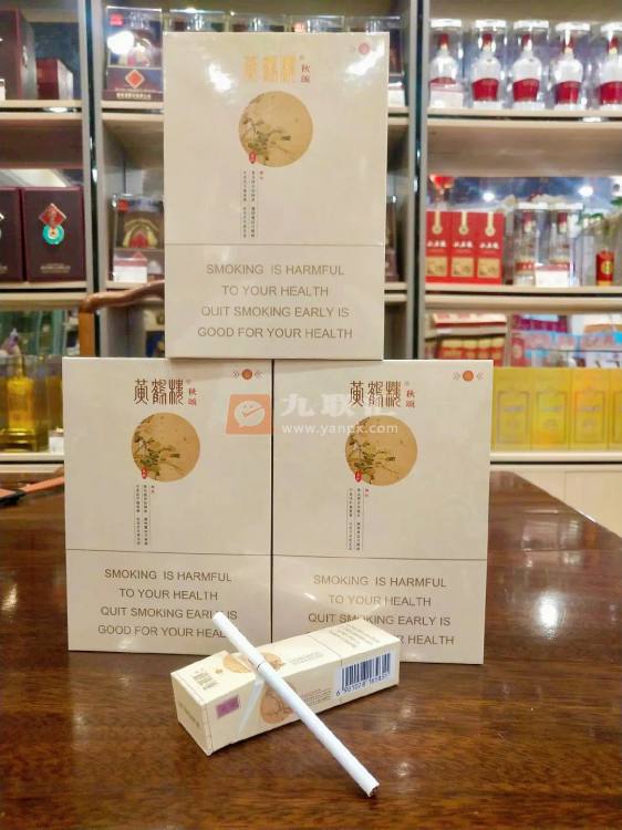 黄鹤楼(春夏秋冬)相册 109904_15806