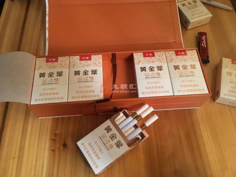 黄金叶(天叶)相册 290_58696