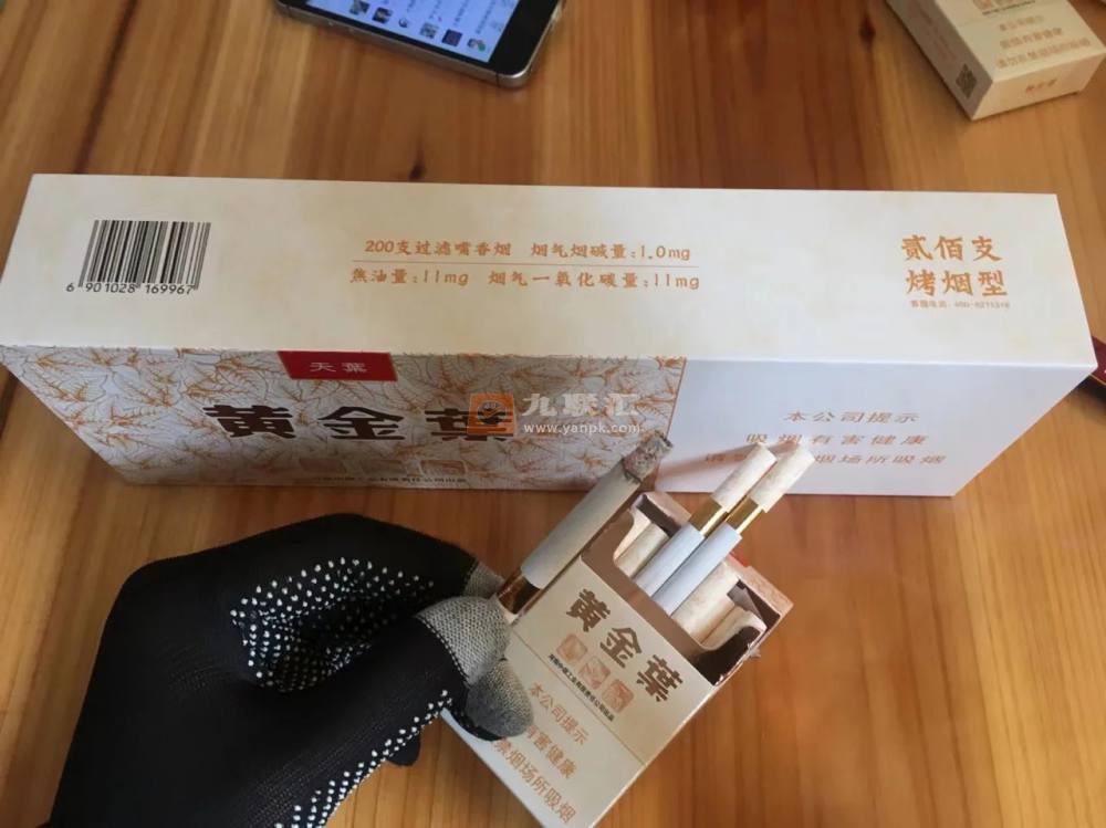 黄金叶(天叶)相册 290_94081