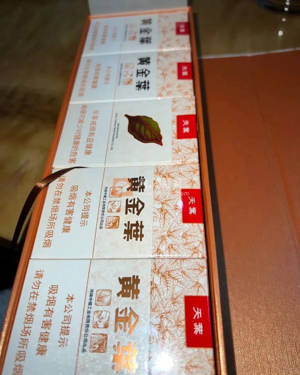 黄金叶(天叶)相册 290_45818