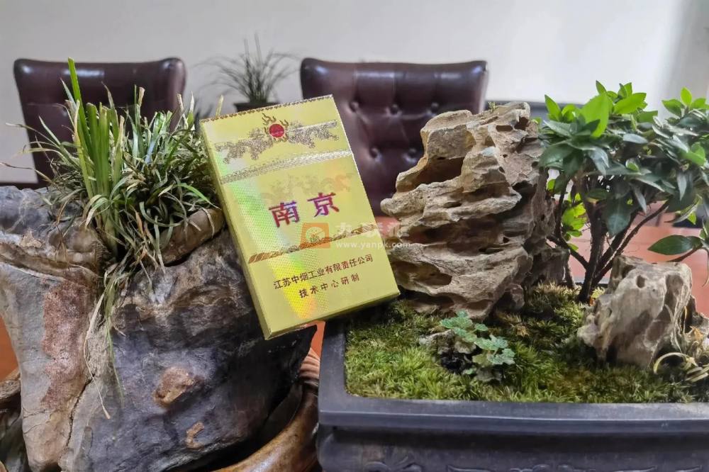 南京(九五)相册 884_39512