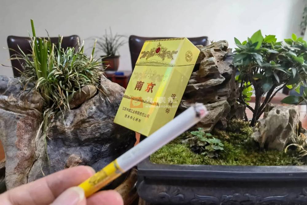 南京(九五)相册 884_44197