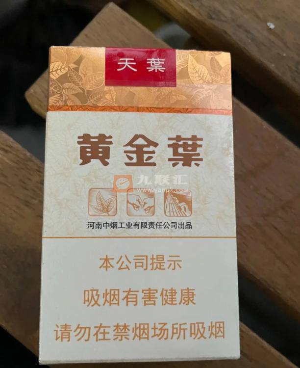 黄金叶(软天叶)相册 106395_58562