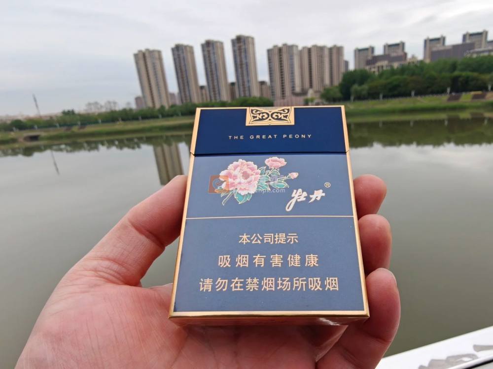 牡丹(蓝中支)相册 94909_19720