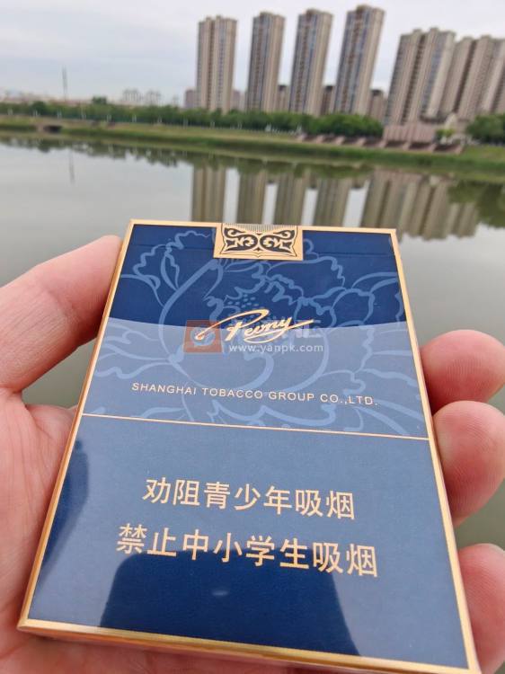 牡丹(蓝中支)相册 94909_70356