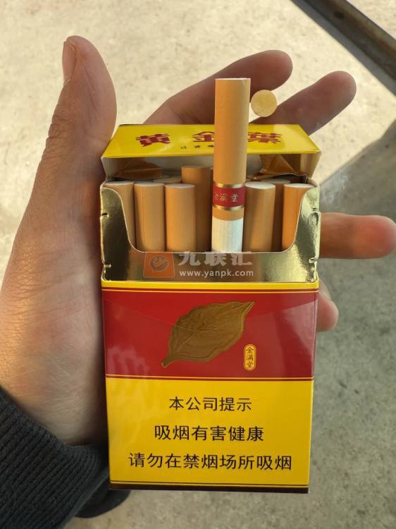 黄金叶(金满堂)相册 297_21115