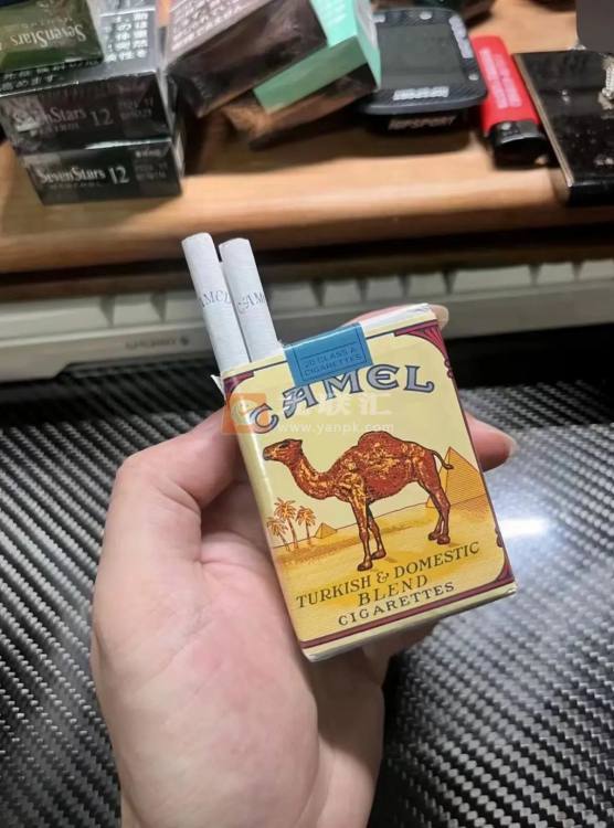 骆驼(无嘴)相册 2227_37254