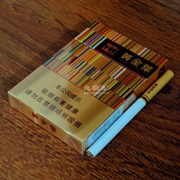 黄金叶(黄金中支)相册 94078_38031