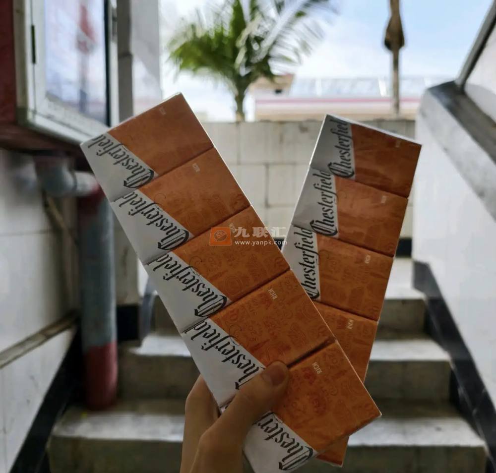 契斯特菲尔德(硬橙摩洛哥版)相册 106630_83366