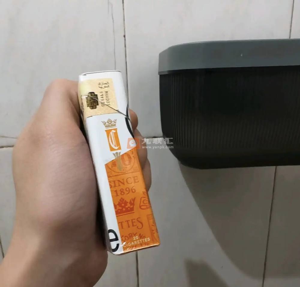 契斯特菲尔德(硬橙摩洛哥版)相册 106630_48265