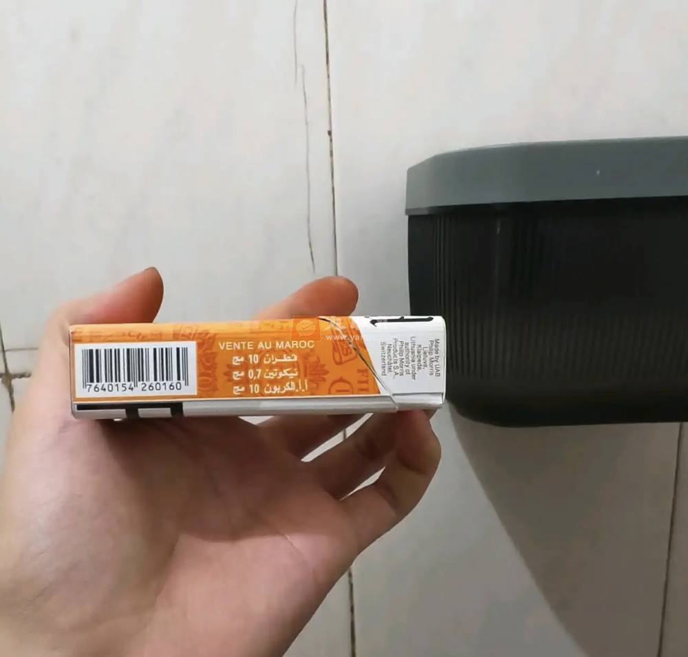 契斯特菲尔德(硬橙摩洛哥版)相册 106630_40292