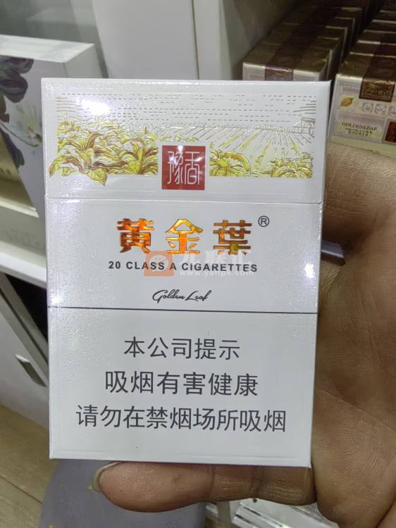 黄金叶(豫香)相册 93711_71495