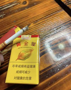 黄金叶(软大金圆)相册 