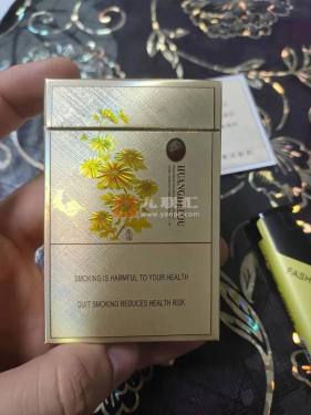 黄鹤楼(滑盖乐道)