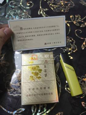 黄鹤楼(滑盖乐道)