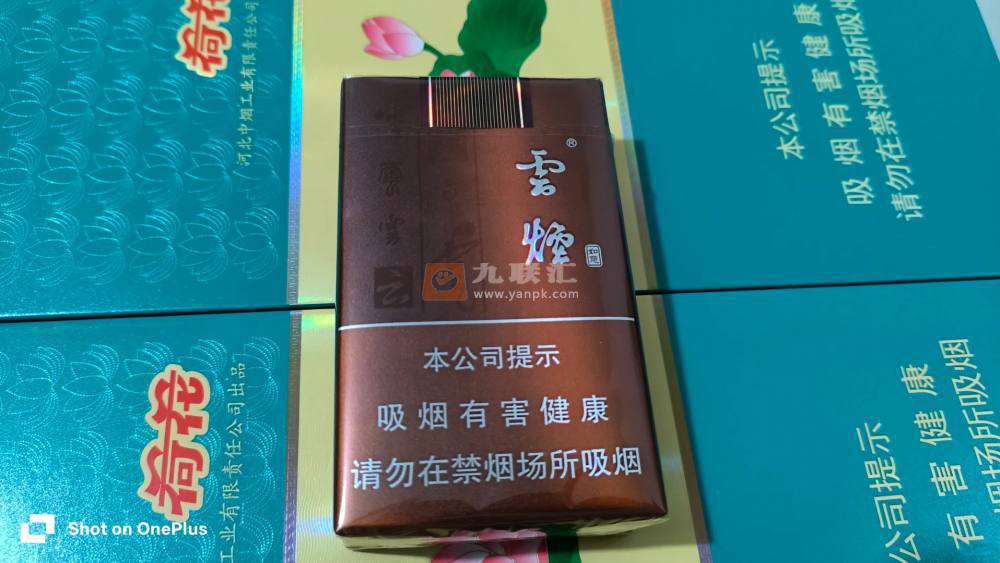 云烟(软如意)相册 1238_19481