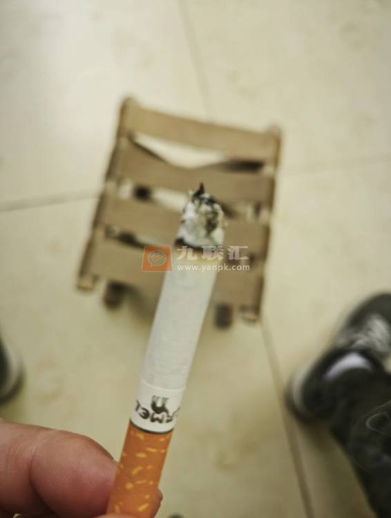 骆驼(硬黄中免版)相册 115107_68991