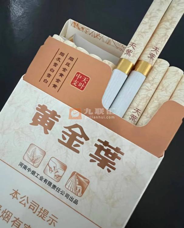 黄金叶(天叶中支)相册 95666_46537