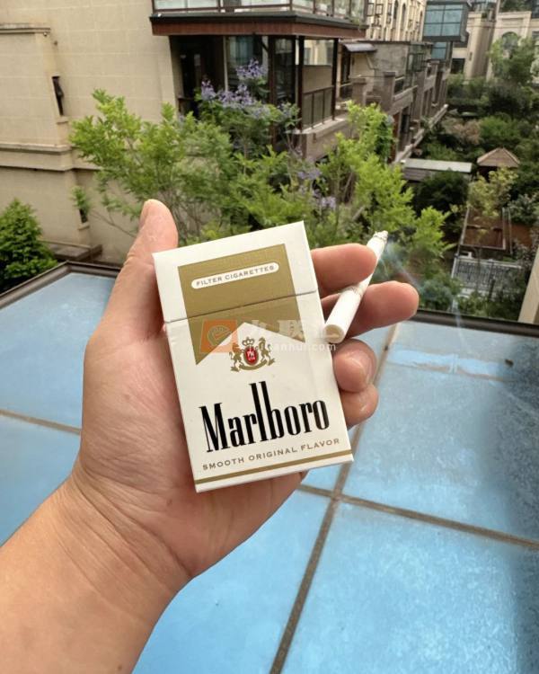 万宝路硬白金美免税版相册 95027_66142