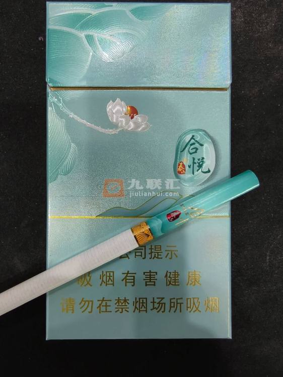 泰山(合悦)相册 95686_59968