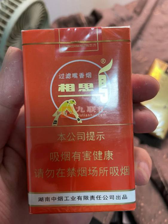 相思鸟(软)相册 2072_80062