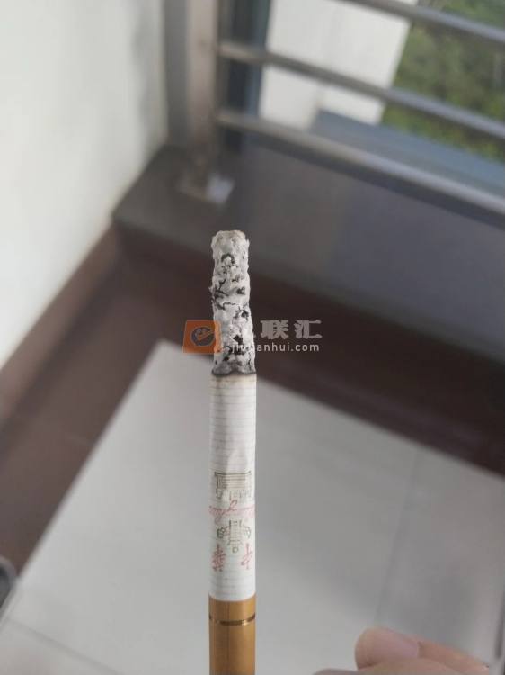 中华双中支相册 93483_92348