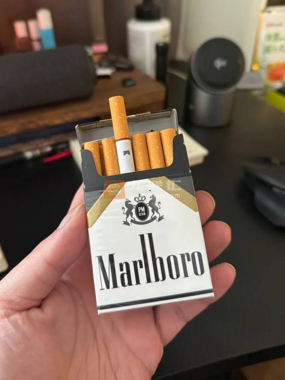 万宝路(硬黑金美版)相册 111310_51978