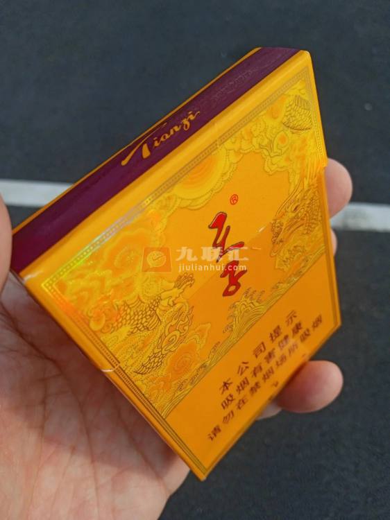 天子(中支)相册 93967_21337