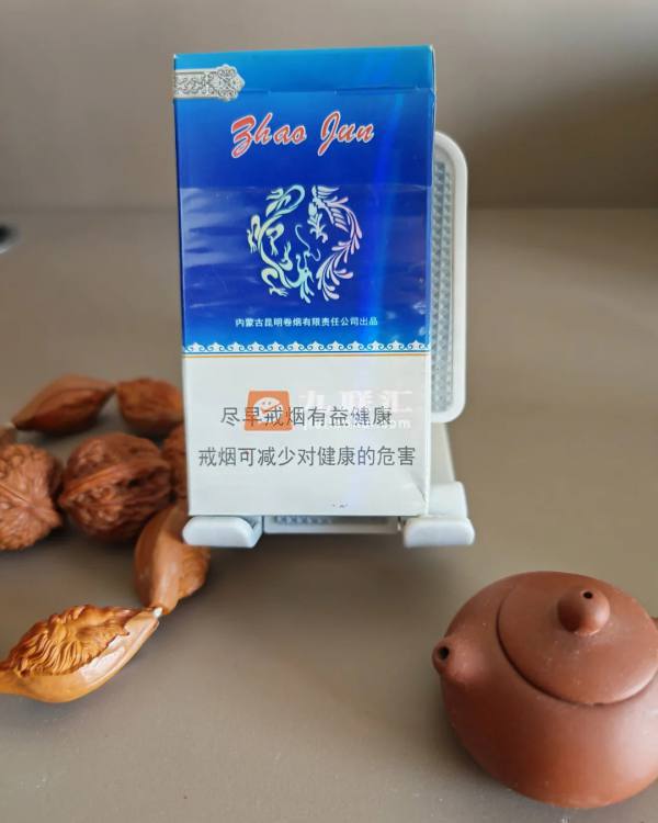 大青山昭君和亲相册 92817_21123