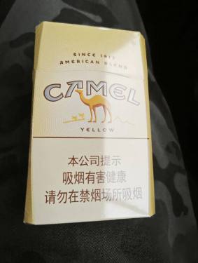 骆驼(硬黄中免版)