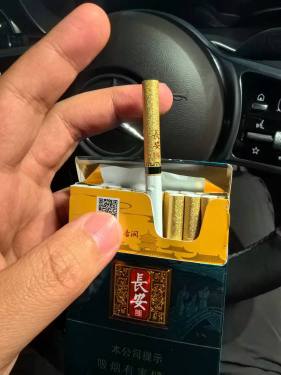 好猫(长安印象)