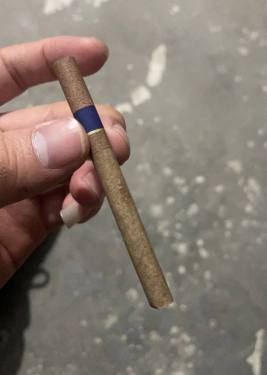 和平(小雪茄)