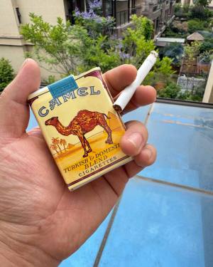 骆驼(无嘴)相册 