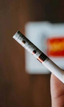 娇子(硬宽窄逍遥)