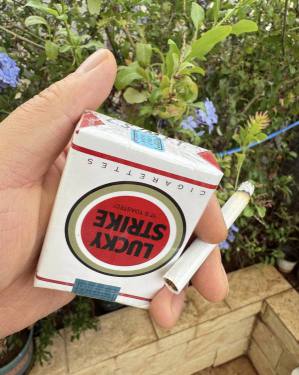 好彩(加州无嘴)