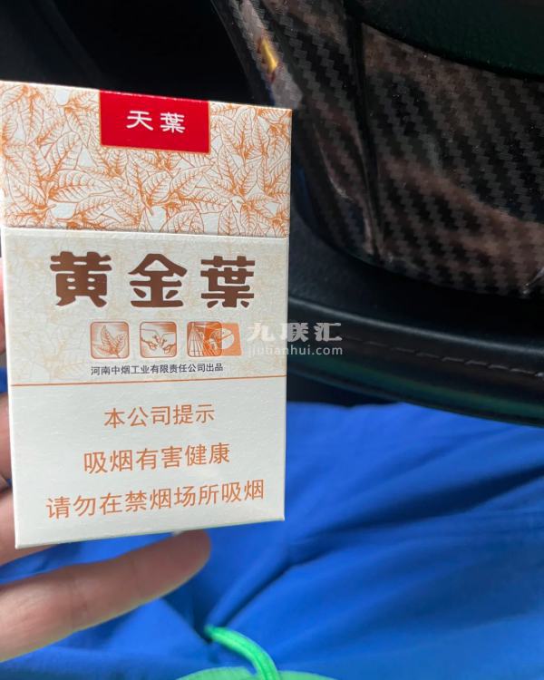 黄金叶(天叶)相册 290_83081