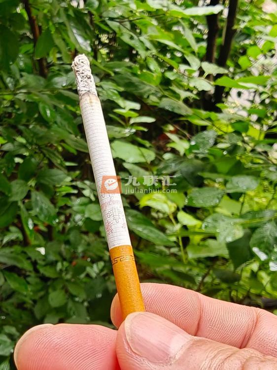 中华(细支)相册 94926_53904