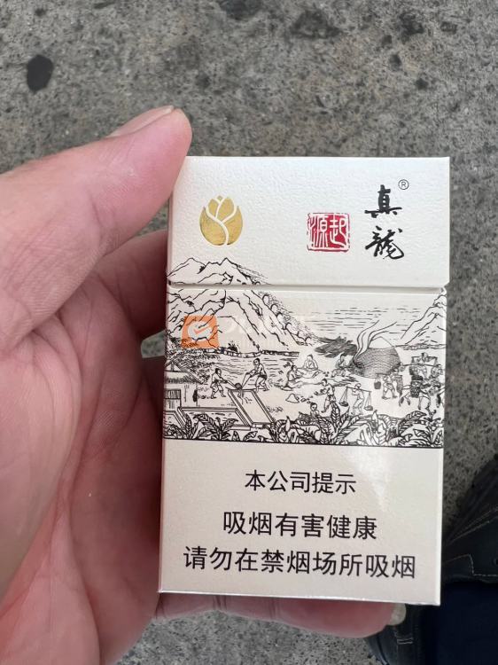 真龙起源.金花茶版相册 22556_64621