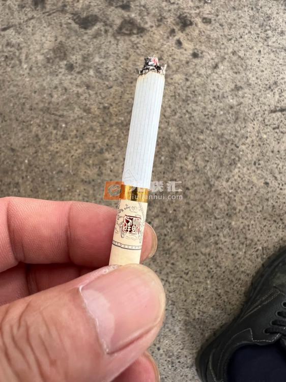 真龙起源.金花茶版相册 22556_81177