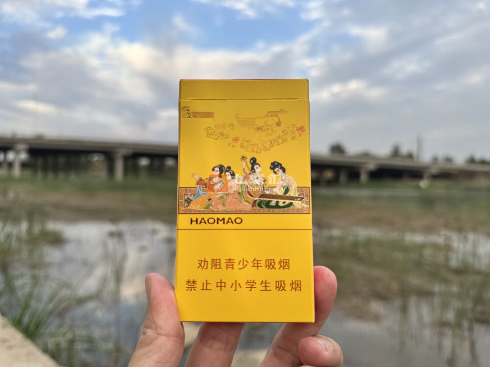 好猫(细支长乐)相册 3172_58751