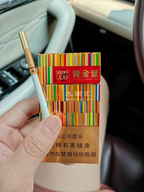 黄金叶(金炫尚)相册 103101_89969