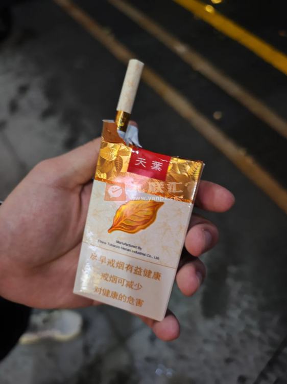 黄金叶(软天叶)相册 106395_28058