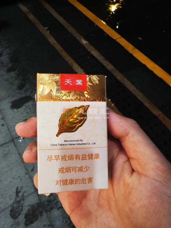 黄金叶(软天叶)相册 106395_37257