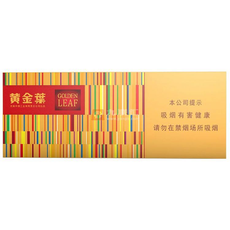 黄金叶(金炫尚)